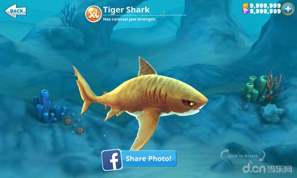 饥饿鲨世界3d(含数据包)