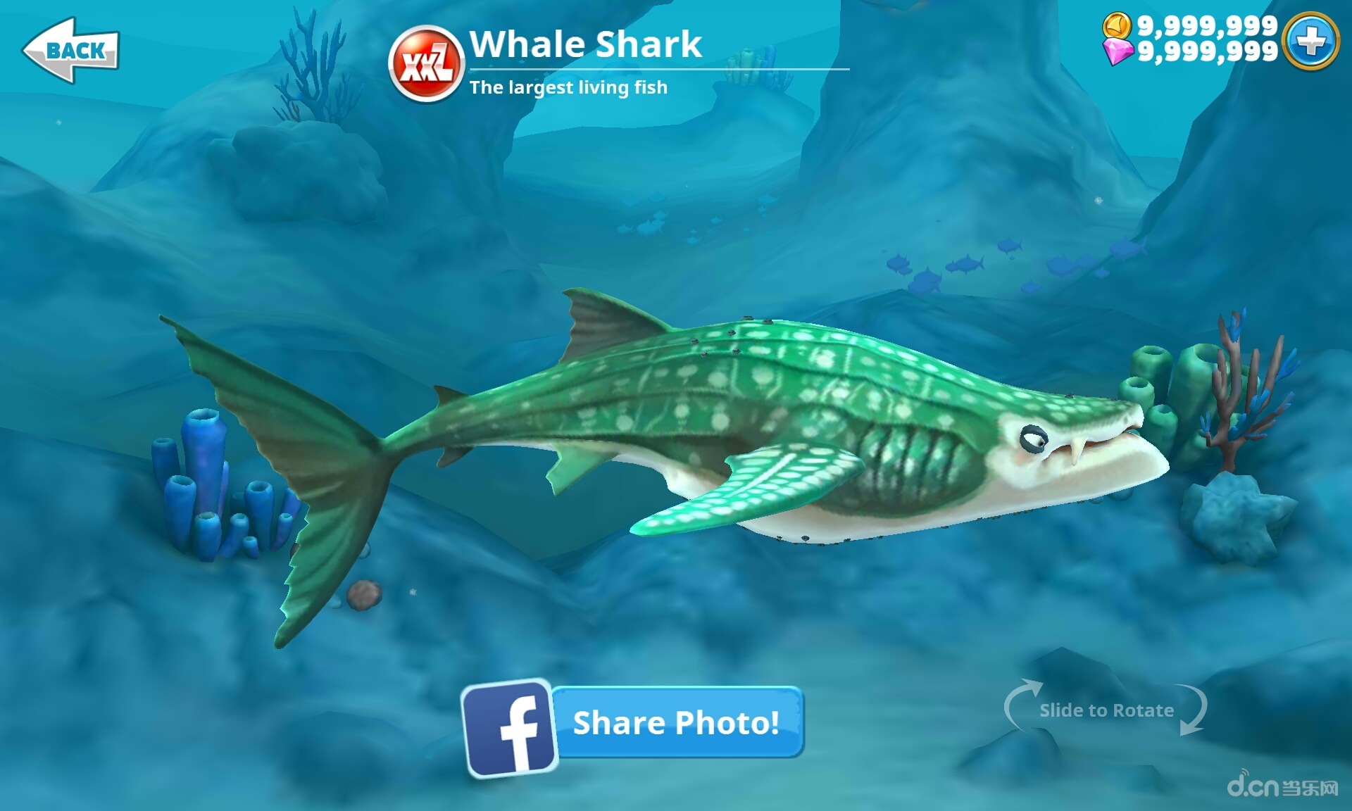 饥饿鲨世界3d(含数据包)
